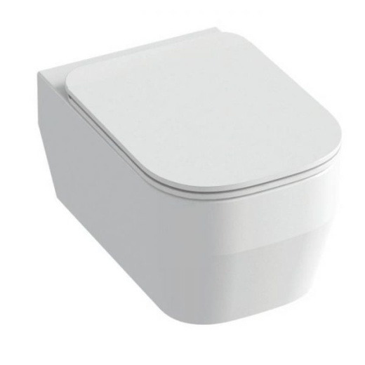 TUESET01 Комплект Унитаз Tutto Evo с крышкой TUE1202R01+C9TE01, безободковый, микролифт, съемные петли (цвет - белый глянцевый)